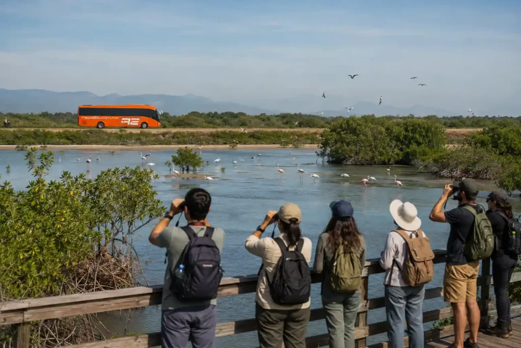 Grupo de personas con mochilas y binoculares observando aves en una laguna con manglares, mientras un autobús naranja de Rapi2s transita al fondo.
