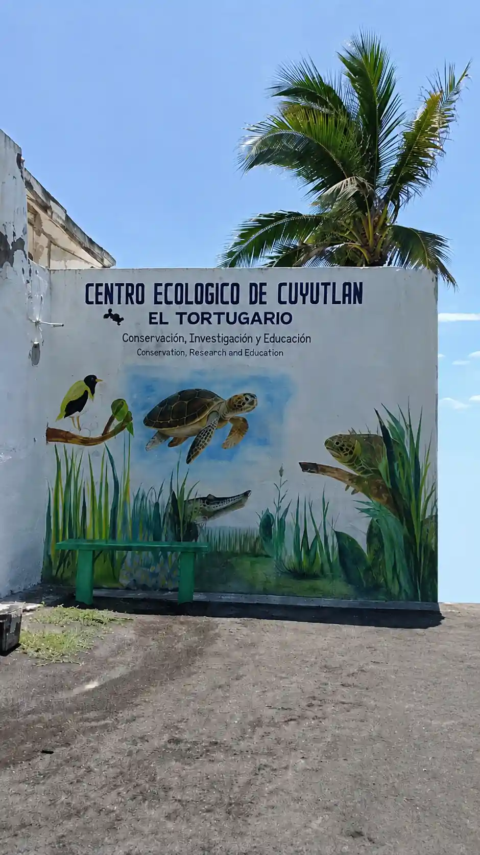 Mural pintado en la fachada del Centro Ecológico de Cuyutlán El Tortugario, con ilustraciones de tortugas, aves y vegetación.