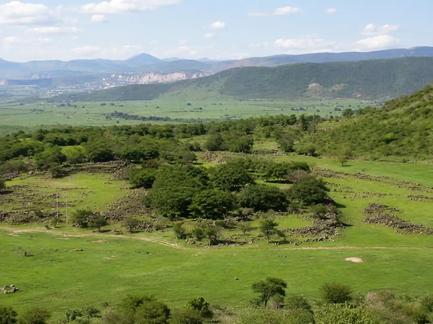 Paisaje natural de la zona arqueológica con extensos campos verdes, árboles dispersos y formaciones montañosas al horizonte.